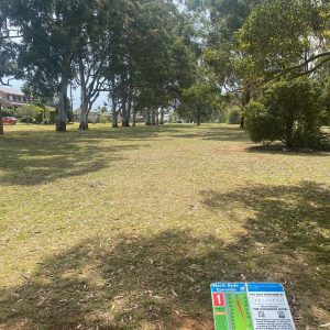 North Ryde Common