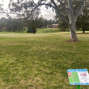 North Ryde Common