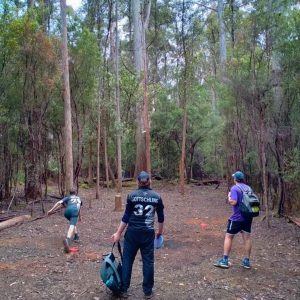 Wallaby Hill Disc Golf Course