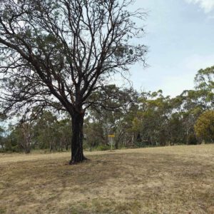 Jim Bacon Memorial Reserve Disc Golf Course