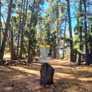 Mount Xavier Disc Golf Course