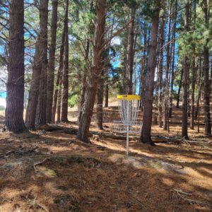 Mount Xavier Disc Golf Course